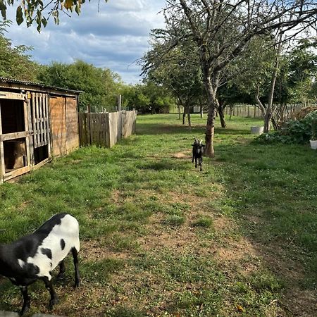 Willa Chez Nath Roggenhouse Zewnętrze zdjęcie