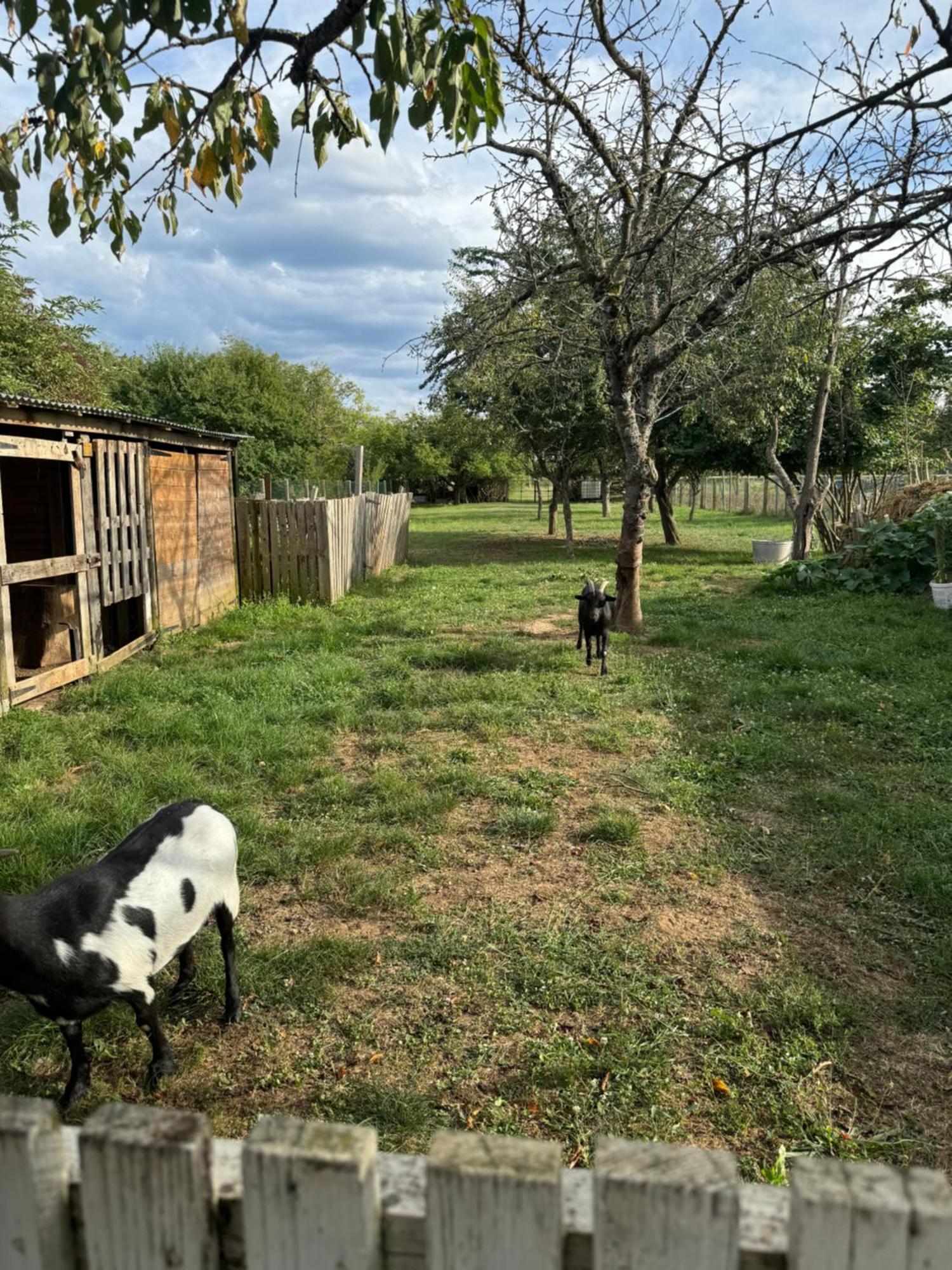 Willa Chez Nath Roggenhouse Zewnętrze zdjęcie